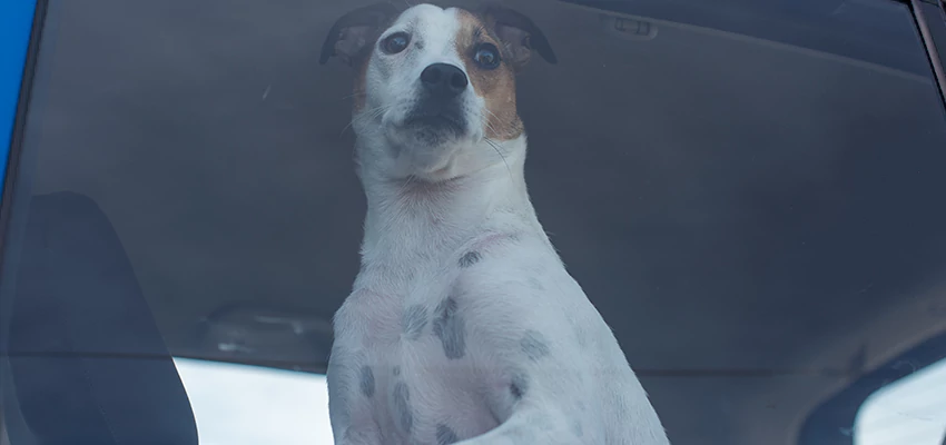 Car Lockout Solutions in Agoura Hills, California